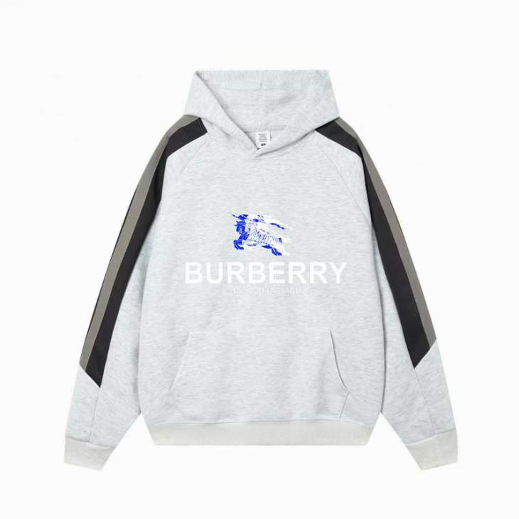 Picture of Burberry Hoodies _SKUBurberryM-4XL11Lr571750